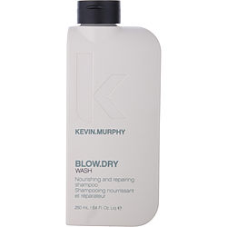 Blow Dry Wash 8.4 Oz