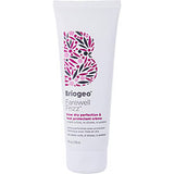 Farewell Frizz Blow Dry Perfection & Heat Protectant Creme 4 Oz